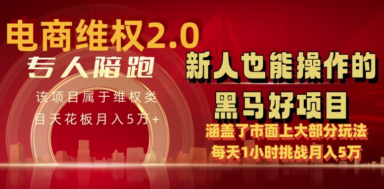 电商维权 4.0 如何做到月入 5 万+每天 1 小时新人也能快速上手【仅揭秘】-观智斋电商课程站
