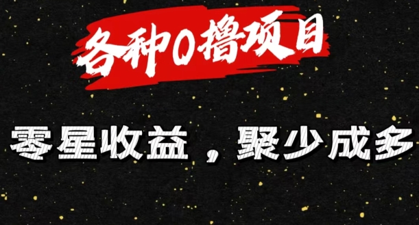 各种0撸项目零星收益，聚少成多-观智斋电商课程站