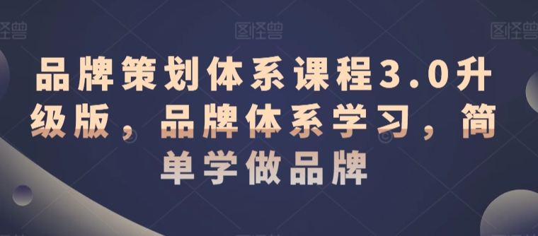 品牌策划体系课程3.0升级版，品牌体系学习，简单学做品牌-观智斋电商课程站