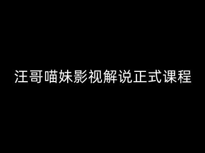 汪哥影视解说正式课程：剪映/PR教学/视解说剪辑5大黄金法则/全流程剪辑7把利器等等-观智斋电商课程站