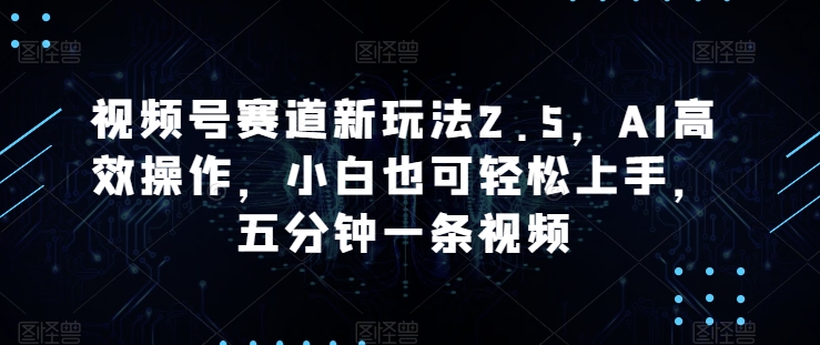 视频号赛道新玩法2.5，AI高效操作，小白也可轻松上手，五分钟一条视频-观智斋电商课程站