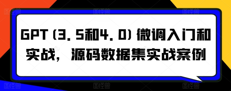 GPT(3.5和4.0)微调入门和实战，源码数据集实战案例-观智斋电商课程站