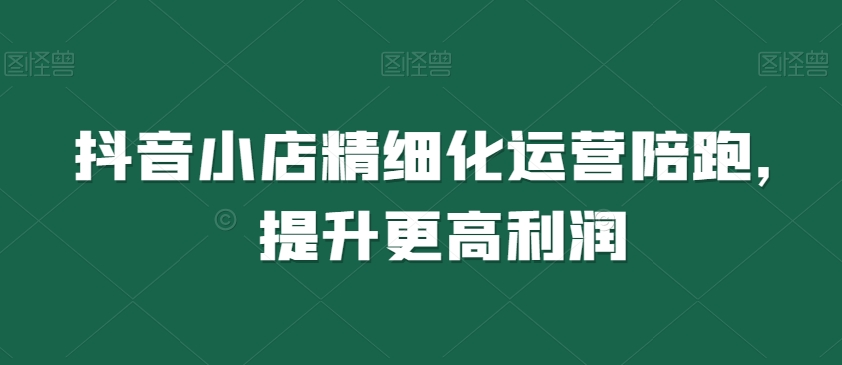 抖音小店精细化运营陪跑，提升更高利润-观智斋电商课程站