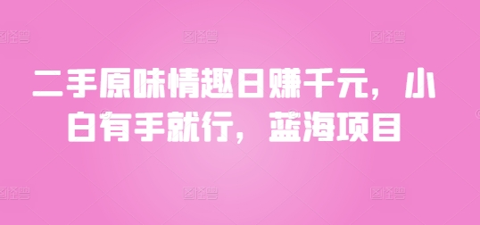 二手原味情趣日赚千元，小白有手就行，蓝海项目-观智斋电商课程站