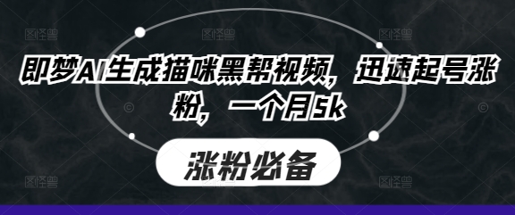 即梦AI生成猫咪黑帮视频，迅速起号涨粉，一个月5k-观智斋电商课程站