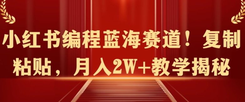 小红书编程蓝海赛道!复制粘贴，月入2W+教学揭秘-观智斋电商课程站