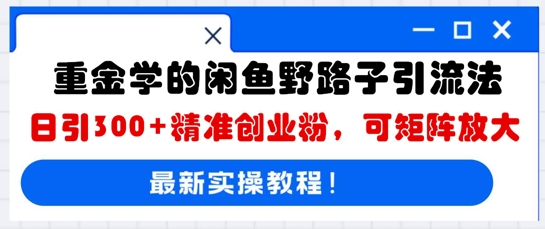 重金学的闲鱼野路子引流法，日引300+精准创业粉，可矩阵放大-观智斋电商课程站
