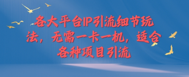 各大平台IP引流细节玩法，无需一卡一机，适合各种项目引流-观智斋电商课程站