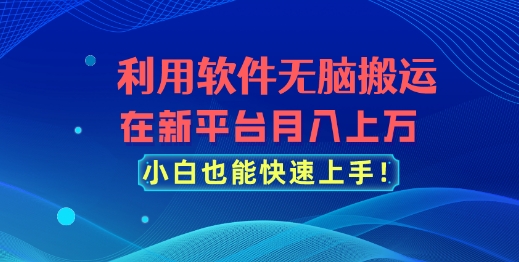 利用软件无脑搬运，在新平台月入上万，小白也能快速上手-观智斋电商课程站