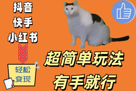 超简单玩法，有手就行，靠猫咪视频日入500+【揭秘】-观智斋电商课程站