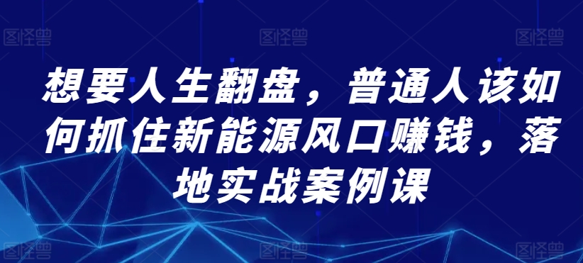 想要人生翻盘，普通人该如何抓住新能源风口赚钱，落地实战案例课-观智斋电商课程站
