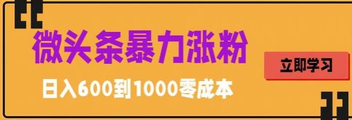 微头条暴力涨粉技巧搬运文案就能涨几万粉丝，简单0成本，日赚600【揭秘】-观智斋电商课程站