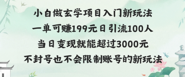 玄学项目入小白入门新玩法一单可赚199元日变现200+不封号不违规-观智斋电商课程站