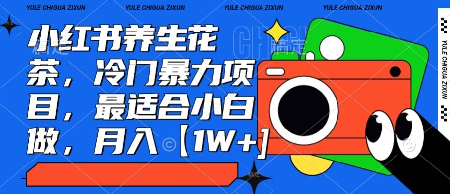 小红书养生花茶，冷门暴力项目，最适合小白做，月入【1W+】-观智斋电商课程站