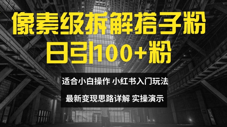 像素级拆解搭子粉，日引100+，小白看完可上手，最新变现思路详解【揭秘】-观智斋电商课程站