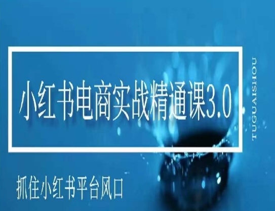 小红书电商实战精通课3.0，抓住小红书平台的风口，不错过有一个赚钱的机会-观智斋电商课程站