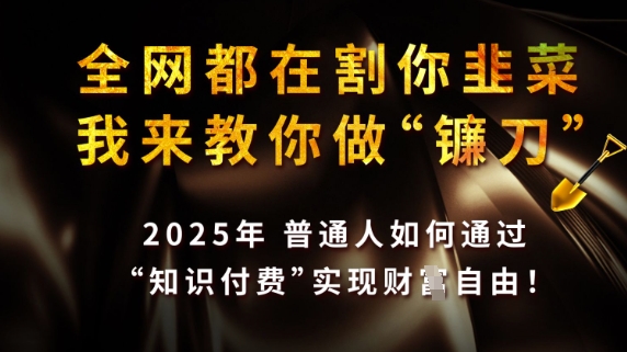 全网都在割你韭菜，我来教你做镰刀，2025普通人如何通过知识付费，实现财F自由【揭秘】-观智斋电商课程站