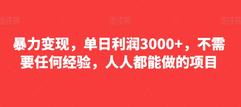 暴力变现，单日利润3000+，不需要任何经验，人人都能做的项目-观智斋电商课程站