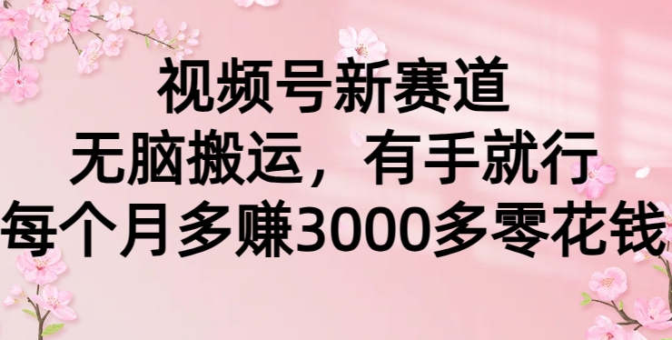 视频号新赛道，无脑搬运，有手就行，每个月多赚3000多零花钱-观智斋电商课程站