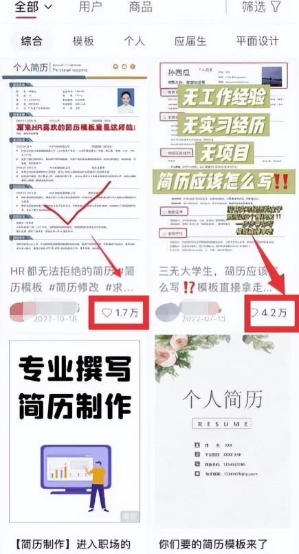 虚拟服务类项目，操作简单，日赚500+-观智斋电商课程站