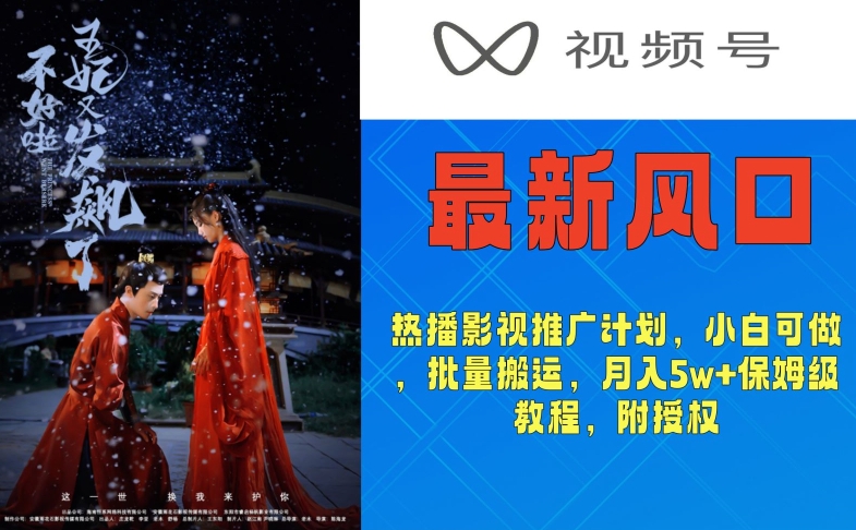 视频号最新风口，热播影视推广计划，小白可做，批量搬运，月入5w+保姆级教程，附授权-观智斋电商课程站
