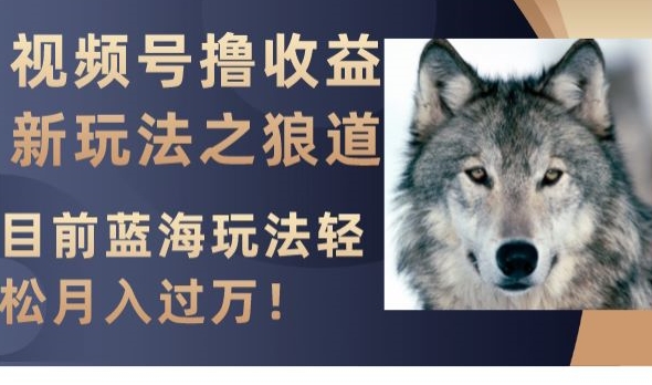 视频号撸收益新玩法之狼道，目前蓝海玩法，轻松月入过万【揭秘】-观智斋电商课程站