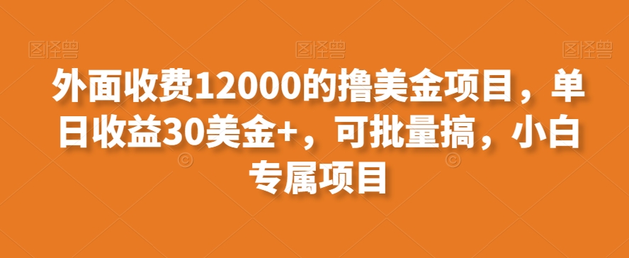 外面收费12000的撸美金项目，单日收益30美金+，可批量搞，小白专属项目-观智斋电商课程站