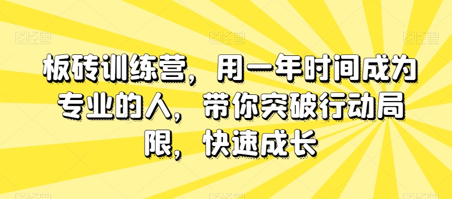板砖训练营，用一年时间成为专业的人，带你突破行动局限，快速成长-观智斋电商课程站