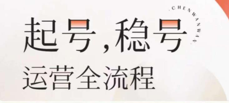 婉婉-起号稳号运营全流程，解决从小白到进阶所有运营知识，帮助解决账号所有运营难题-观智斋电商课程站