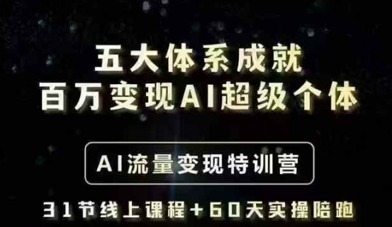 五大体系成就百万变现AI超级个体- AI流量变现特训营，一步一步教你一个人怎么年入百W-观智斋电商课程站