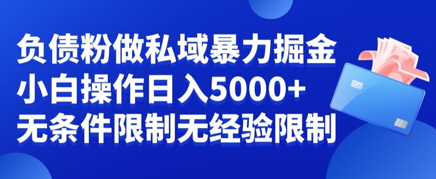 负债粉私域暴力掘金，小白操作入5000，无经验限制，无条件限制【揭秘】-观智斋电商课程站