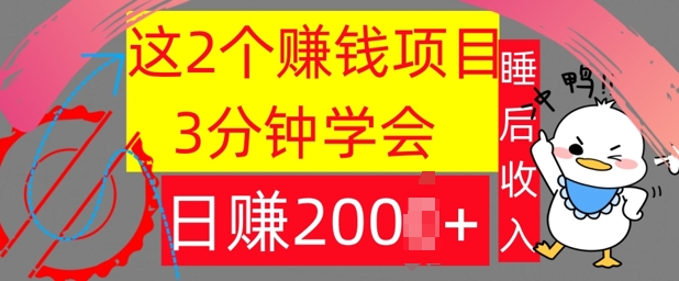 这2个项目，3分钟学会，日赚几张，懒人捡钱-观智斋电商课程站