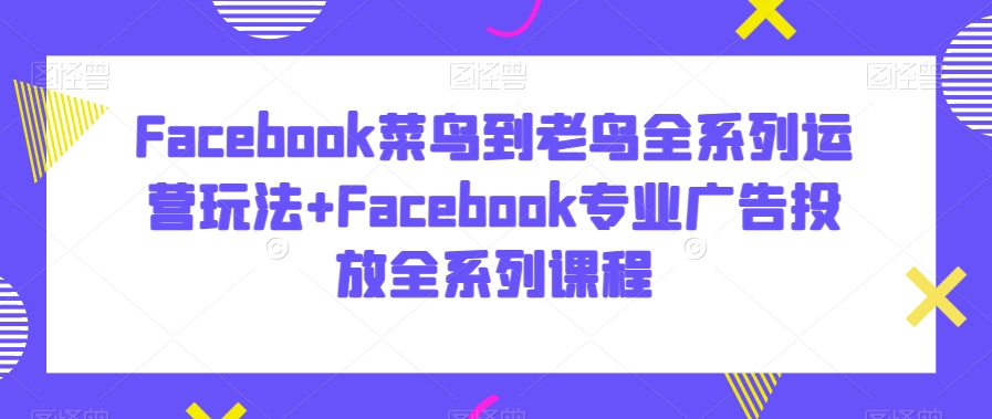 Facebook菜鸟到老鸟全系列运营玩法+Facebook专业广告投放全系列课程-观智斋电商课程站