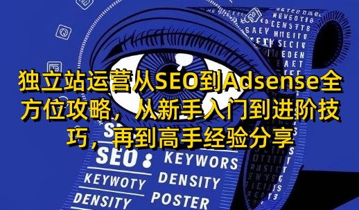 独立站运营从SEO到Adsense全方位攻略，从新手入门到进阶技巧，再到高手经验分享-观智斋电商课程站