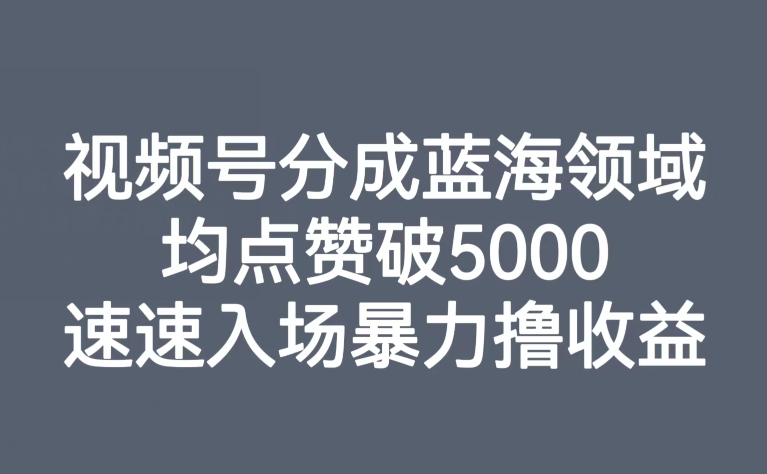 视频号分成蓝海领域，均点赞破5000，速速入场暴力撸收益-观智斋电商课程站