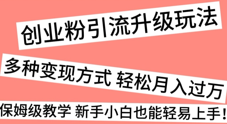 创业粉引流升级玩法，多种变现方式轻松月入过万，保姆级教学新手小白也能轻易上手！-观智斋电商课程站