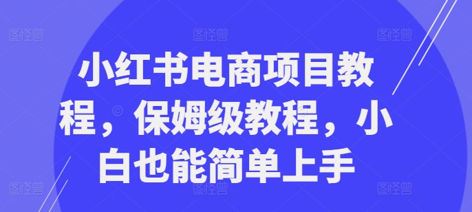 小红书电商项目教程，保姆级教程，小白也能简单上手-观智斋电商课程站