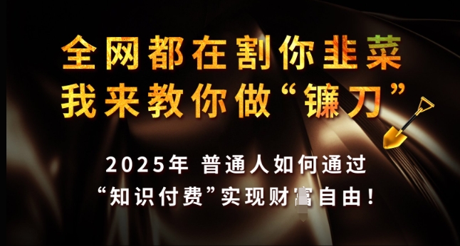 全网都在割你韭菜，我来教你做镰刀，2025年普通人如何通过 知识付费 实现财F自由【揭秘】-观智斋电商课程站