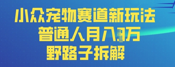 小众宠物赛道新玩法，普通人月入过1W的野路子拆解-观智斋电商课程站