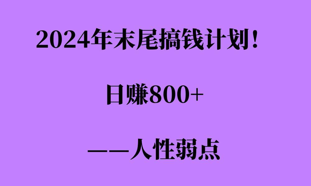 2024年末尾搞钱计划，男粉项目，人性弱点，日入多张-观智斋电商课程站