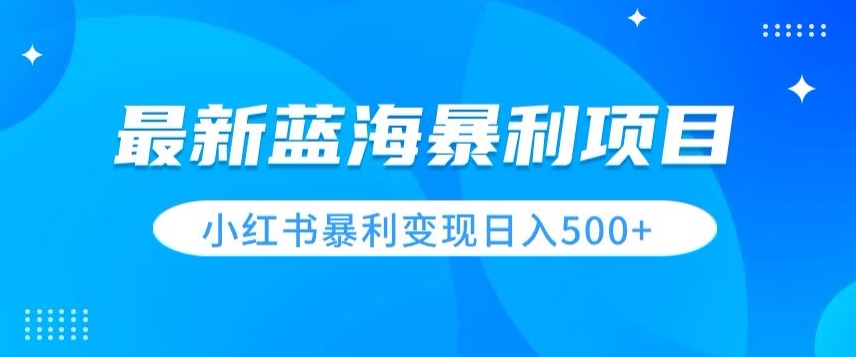 最新暴利蓝海项目，小红书图文变现，轻松实现日收益500+-观智斋电商课程站