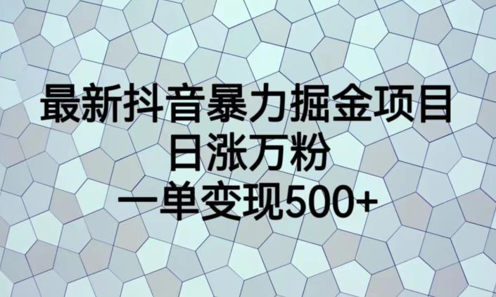 最新抖音暴力掘金项目，日涨万粉，一单变现500+【揭秘】-观智斋电商课程站