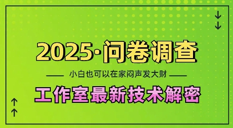2025问卷调查最新工作室技术解密：一个人在家也可以闷声发大财，小白一天2张，可矩阵放大【揭秘】-观智斋电商课程站