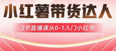 小红薯达人带货启航计划，3节直播课从0-1入门小红书-观智斋电商课程站