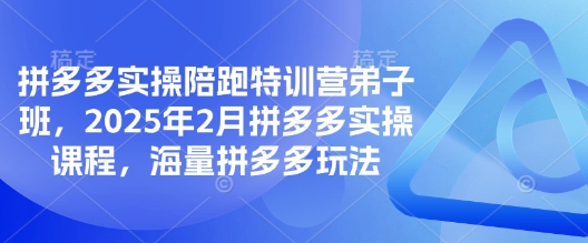 拼多多实操陪跑特训营弟子班，2025年2月拼多多实操课程，海量拼多多玩法-观智斋电商课程站