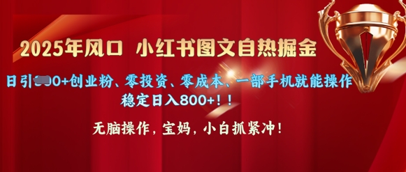 25年风口小红书图文掘金，日引300+创业粉、零投资、零成本、一部手机就能操作-观智斋电商课程站