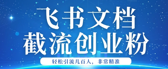 利用飞书文档截流创业粉轻松引流200+-观智斋电商课程站