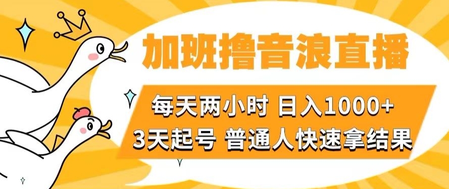 加班撸音浪直播，每天两小时，日入1000+，直播话术才3句，3天起号，普通人快速拿结果【揭秘】-观智斋电商课程站