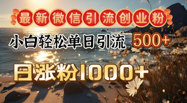 最新微信引流创业粉，小白单日轻松引流500+，日涨粉1000+-观智斋电商课程站