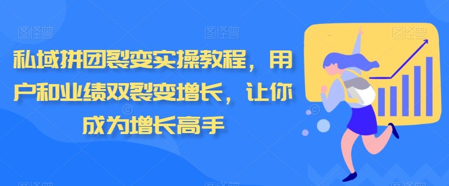 私域拼团裂变实操教程，用户和业绩双裂变增长，让你成为增长高手-观智斋电商课程站